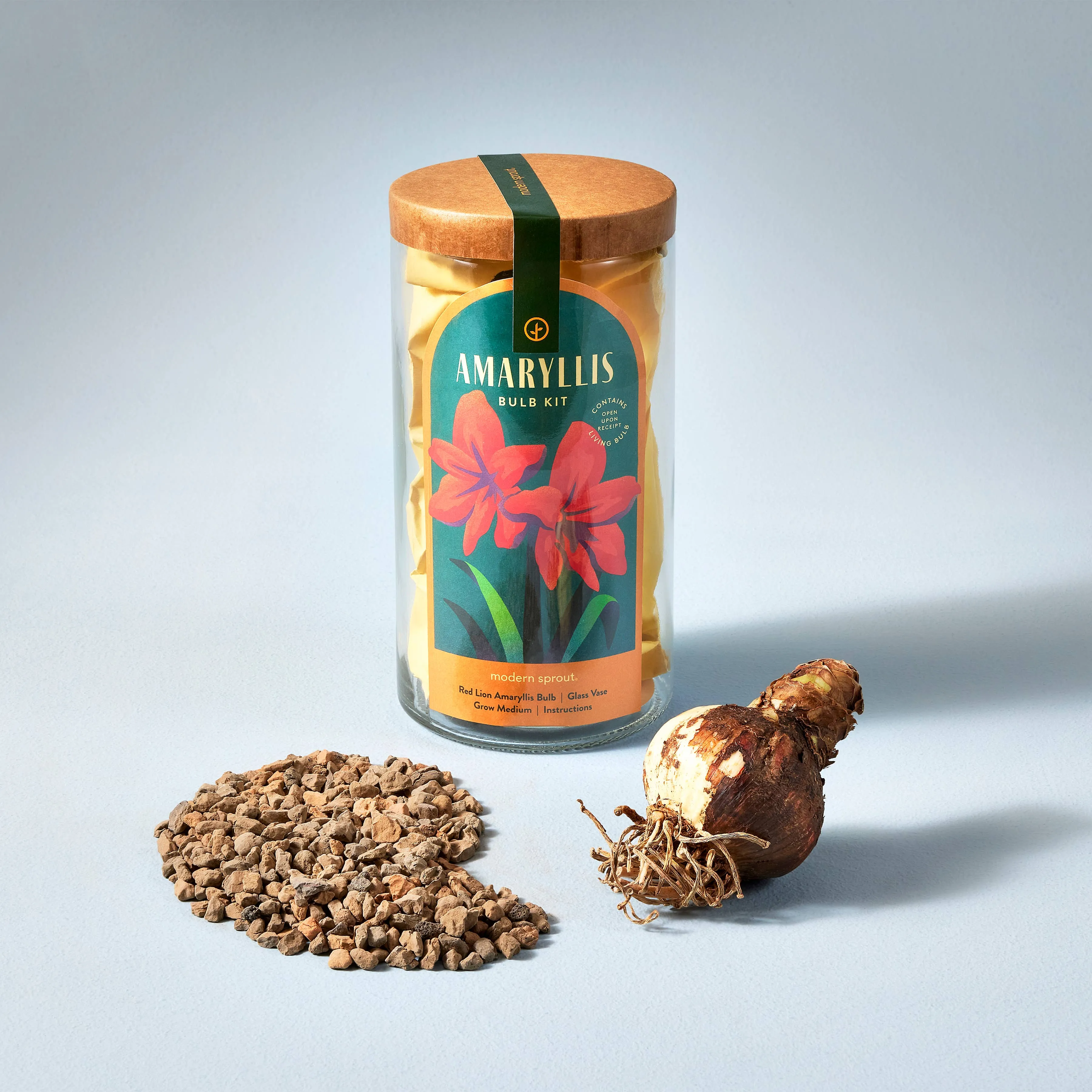 Winter Bulb Kits