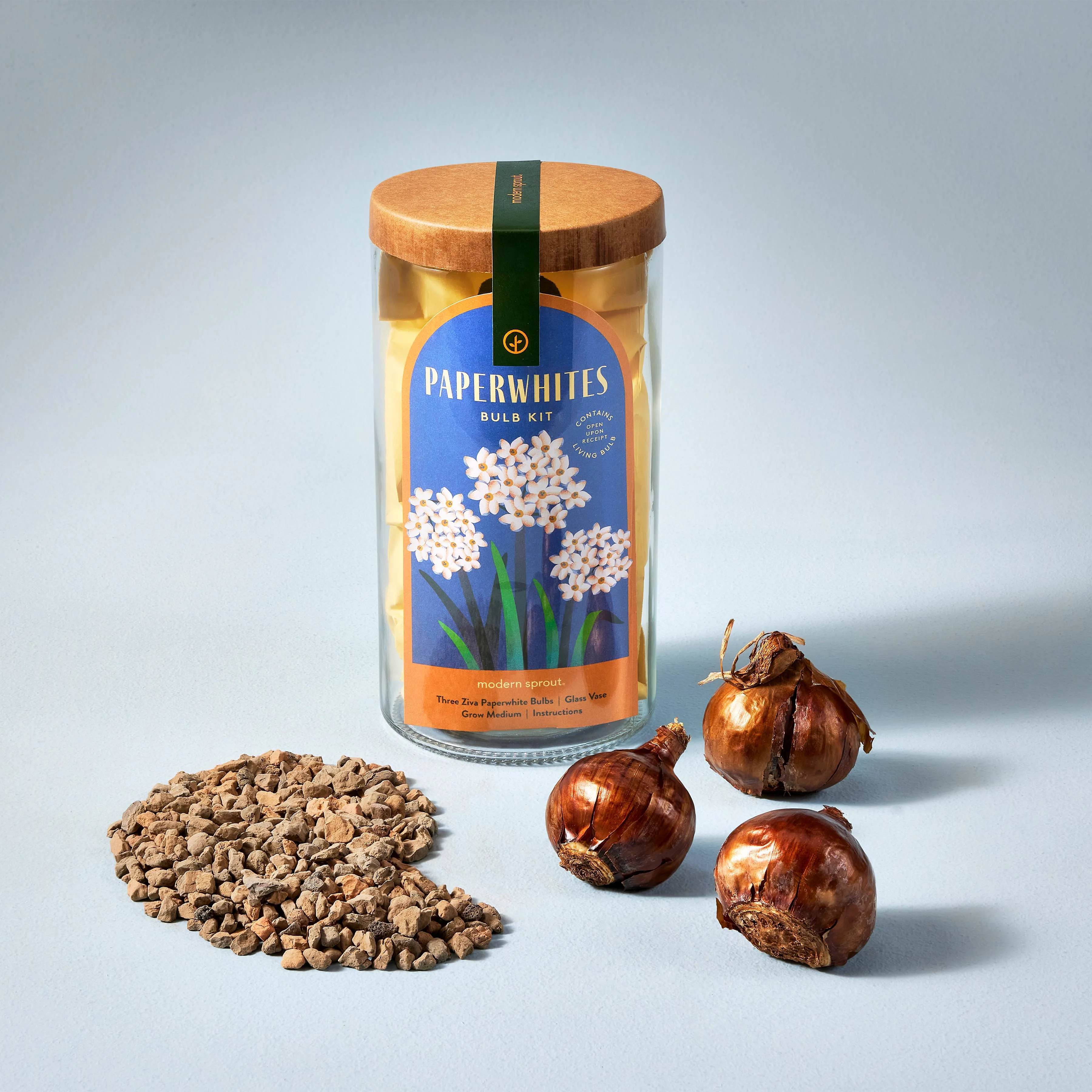 Winter Bulb Kits