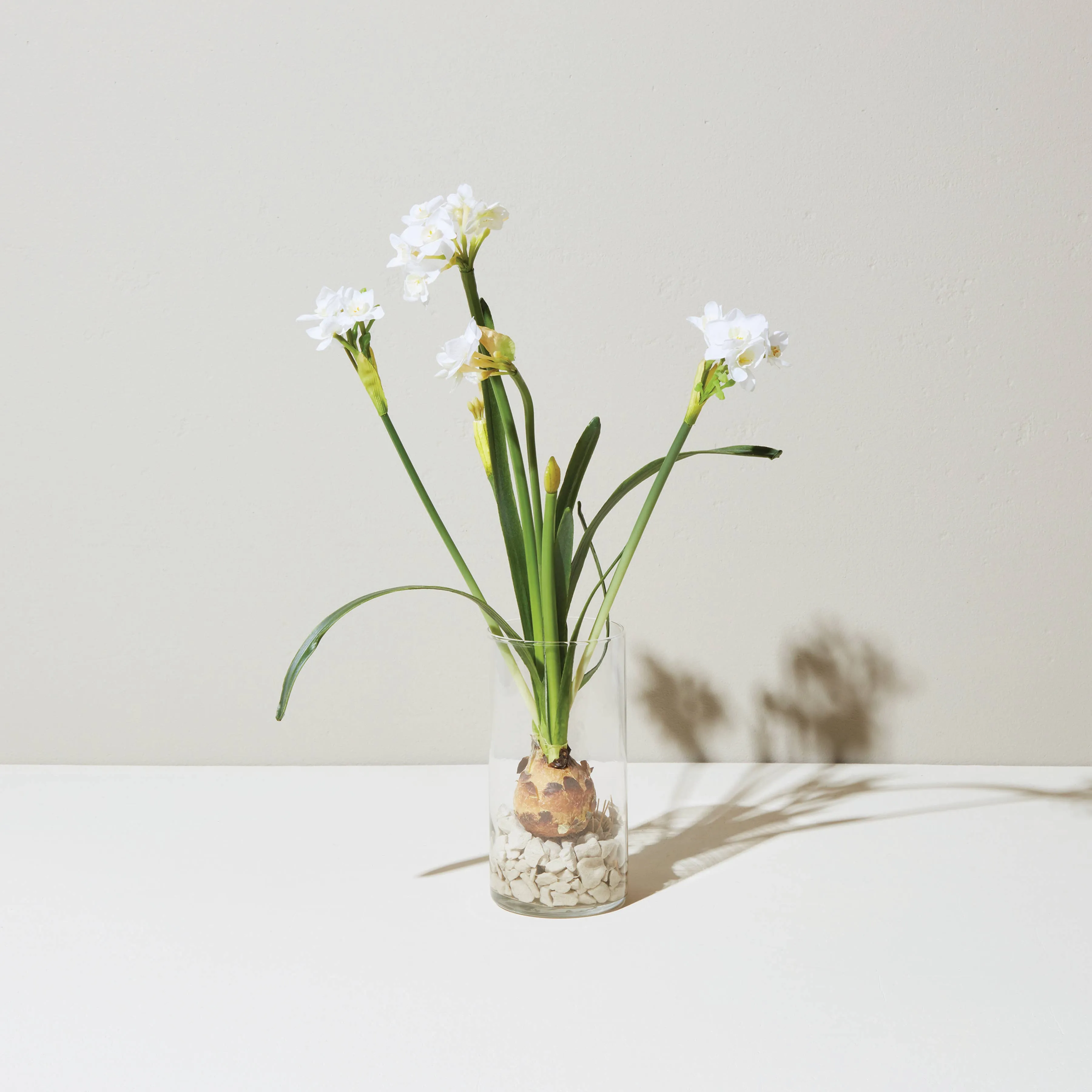 Winter Bulb Kits