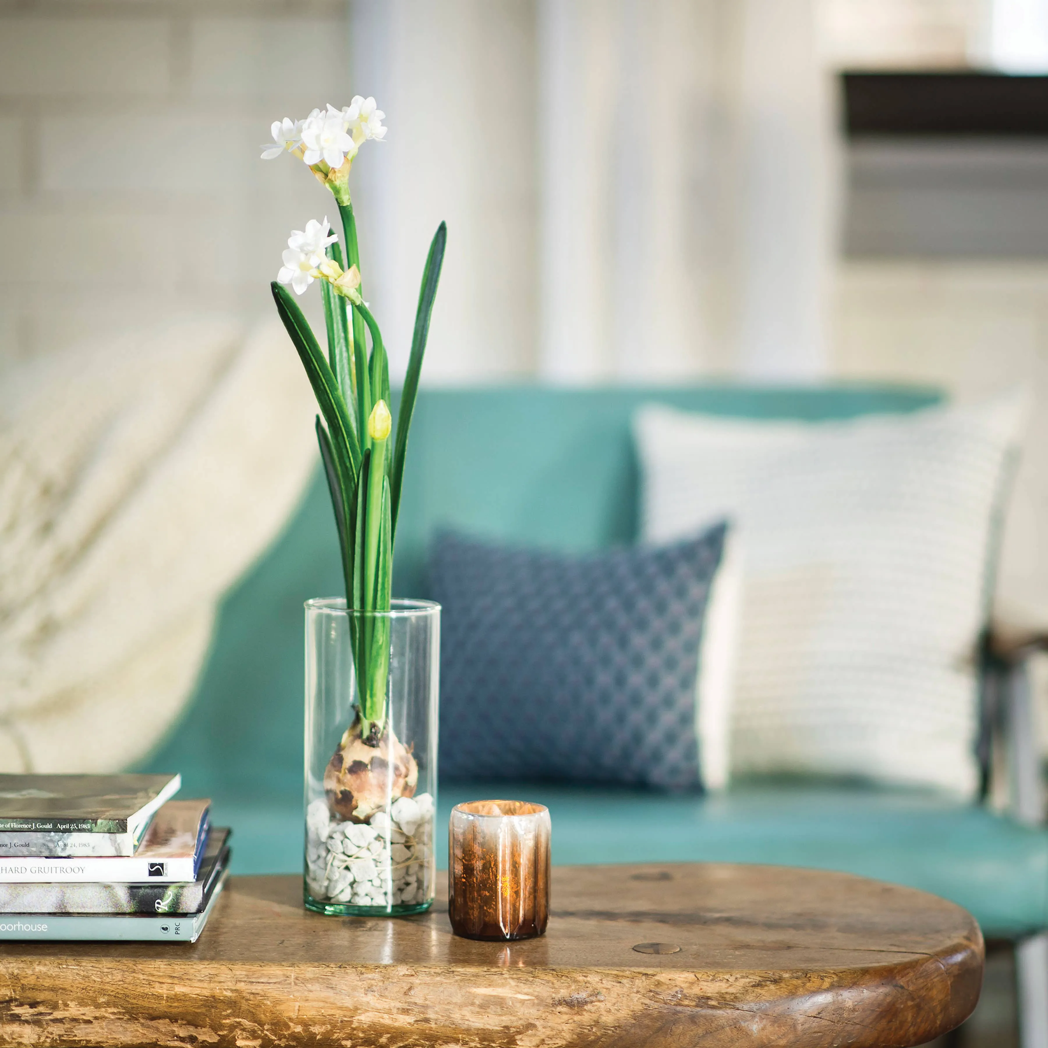 Winter Bulb Kits
